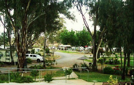 Buronga Riverside Tourist Park - Surfers Gold Coast 4