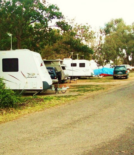 Buronga Riverside Tourist Park - Surfers Gold Coast 5