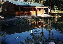 Bush Haven - Surfers Gold Coast 2
