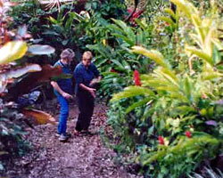 Milkwood Lodge - Surfers Gold Coast 1