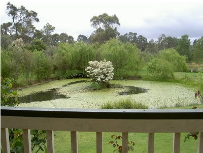 Moss Brook Bed And Breakfast - Surfers Gold Coast 1