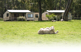 Cambray Cottages - Surfers Gold Coast 1