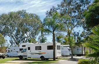 Perth Central Caravan Park - Surfers Gold Coast 2