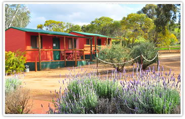 Toodyay Caravan Park - Surfers Gold Coast 2