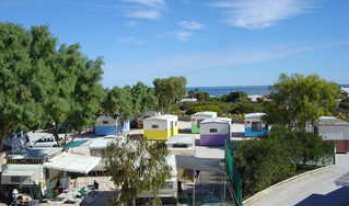 Shark Bay Caravan Park - Surfers Gold Coast 2