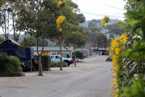 Albury All Seasons Tourist Park - Surfers Gold Coast 0
