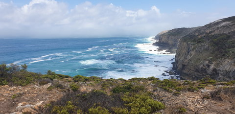 Amoria Beach House - Surfers Gold Coast 2