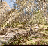 Coree campground - Surfers Gold Coast