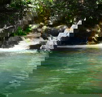 Daintree Secrets Rainforest Sanctuary - Surfers Gold Coast