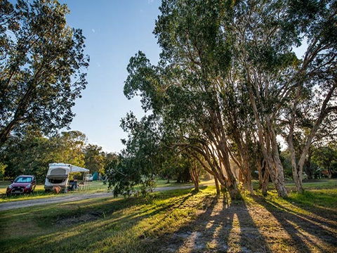 Delicate Campground - Surfers Gold Coast 0