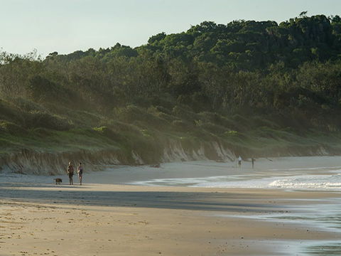Delicate Campground - Surfers Gold Coast 2