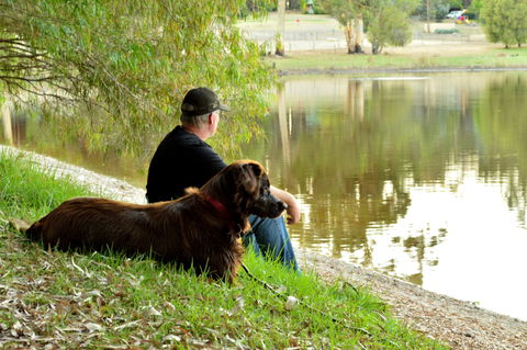Diamond Forest Farm Stay - Surfers Gold Coast 2