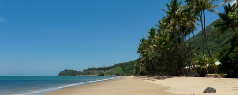 Ellis Beach Bungalows And Leisure Park - Surfers Gold Coast 0
