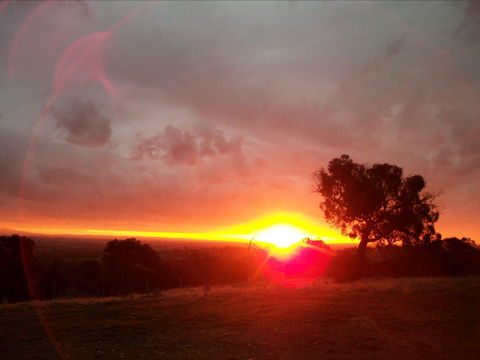 Heathcote Views Bed & Breakfast - Surfers Gold Coast 2