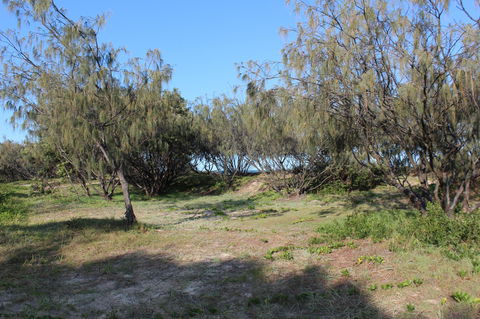 K'gari (Fraser Island) Camping, Great Sandy National Park - Surfers Gold Coast 1