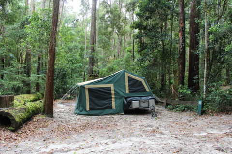 K'gari (Fraser Island) Camping, Great Sandy National Park - Surfers Gold Coast 2