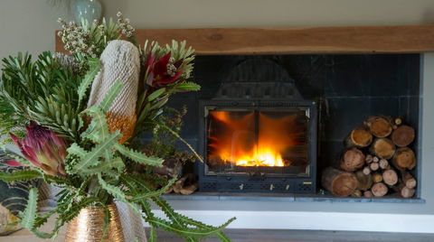 Koala Gully - Surfers Gold Coast 0