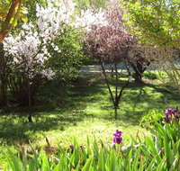 Sofala Cottage - Surfers Gold Coast