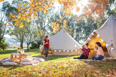 Valley View Glamping - Surfers Gold Coast 0