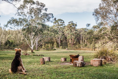 Warialda - Surfers Gold Coast 1