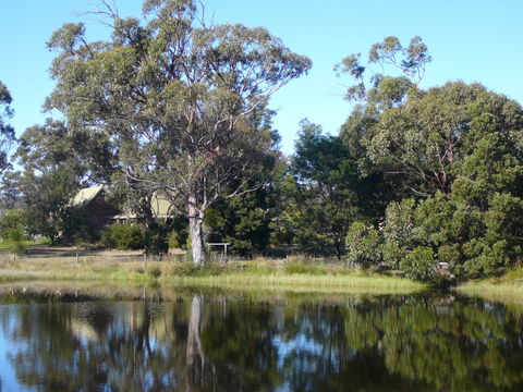 Wind Song Bed And Breakfast - Surfers Gold Coast 2
