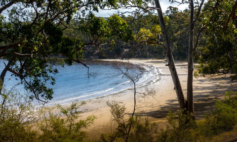 Beaupre Farm - Surfers Gold Coast 1