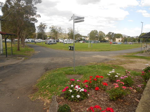 Berry Showground Camping - Surfers Gold Coast 1