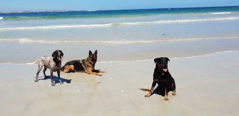 BIG4 Warrnambool Figtree Holiday Park - Surfers Gold Coast 2