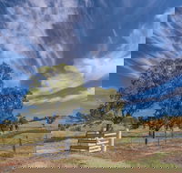 Bulwara Farmhouse - Surfers Gold Coast