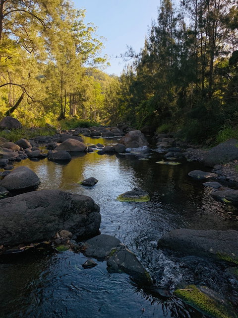 Cave Rock Cottages - Surfers Gold Coast 0