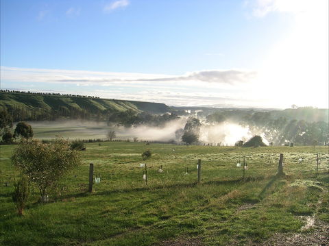 Celestine House - Surfers Gold Coast 1