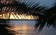 Edgewater Gardens - thumb 2