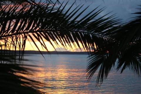 Edgewater Gardens - Surfers Gold Coast 2