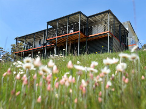 Esperance Landing - Surfers Gold Coast 0