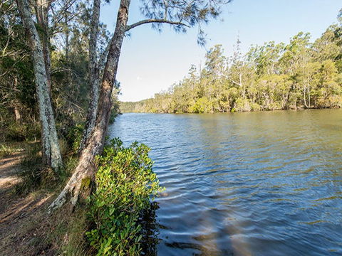 Ferny Creek Campground - Surfers Gold Coast 0