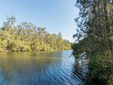 Ferny Creek Campground - Surfers Gold Coast 1