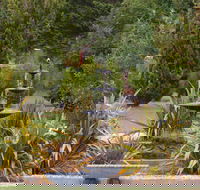 Highland Caravan Park - Surfers Gold Coast