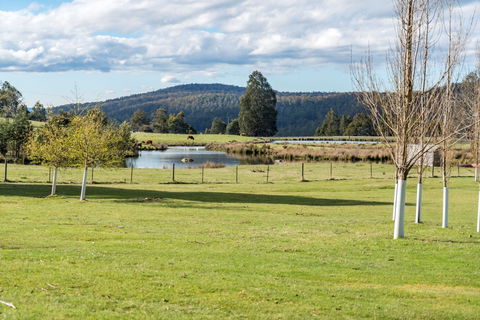 Highland Caravan Park - Surfers Gold Coast 1