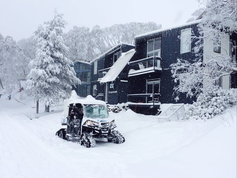 Kilimanjaro Alpine Apartments - Surfers Gold Coast 2