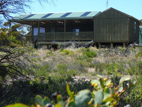 Melaleuca - Eco And Pet Friendly,  Harbor Point Cabins - Surfers Gold Coast 0