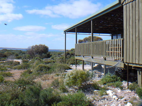 Melaleuca - Eco And Pet Friendly,  Harbor Point Cabins - Surfers Gold Coast 1
