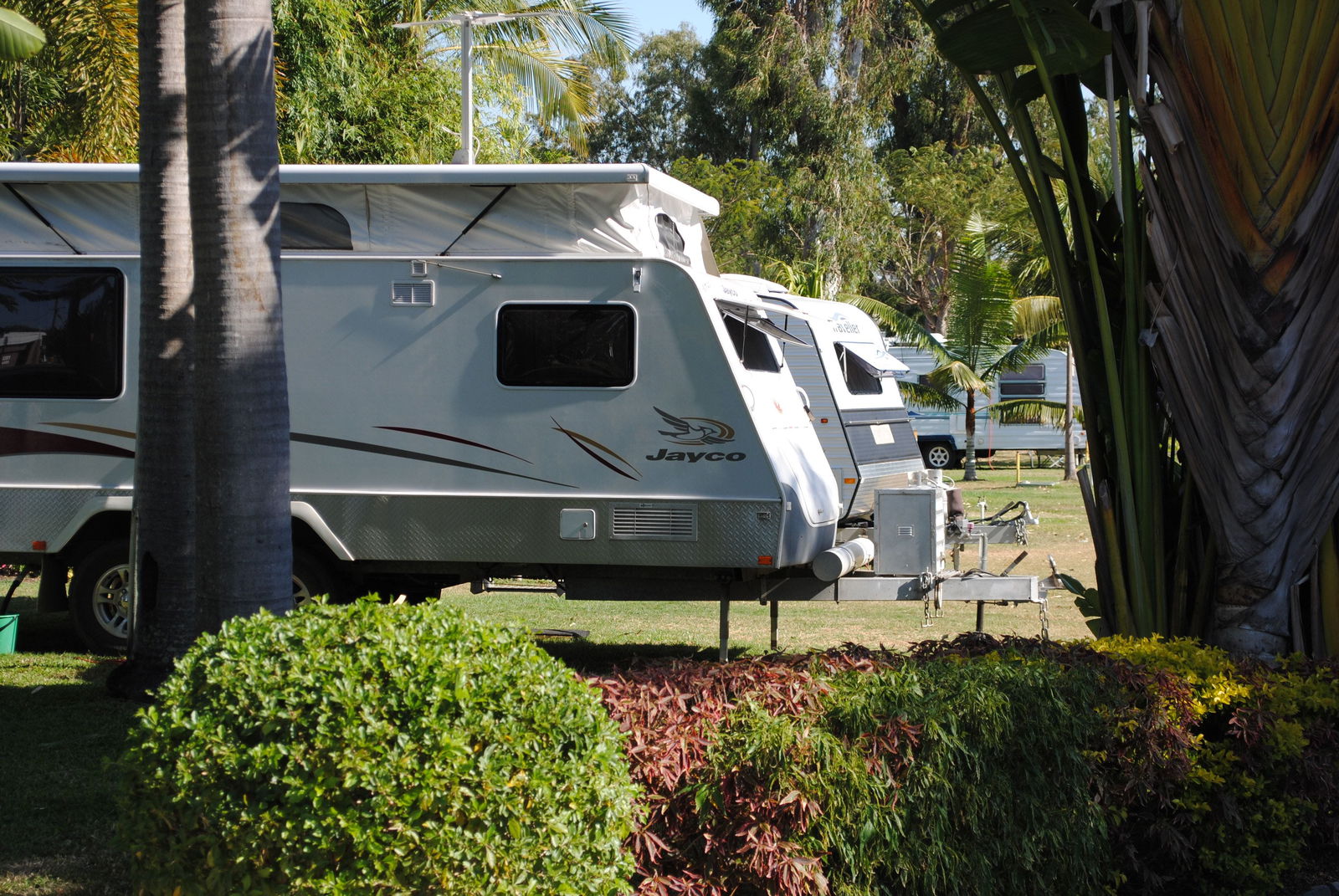 Berserker QLD Surfers Gold Coast