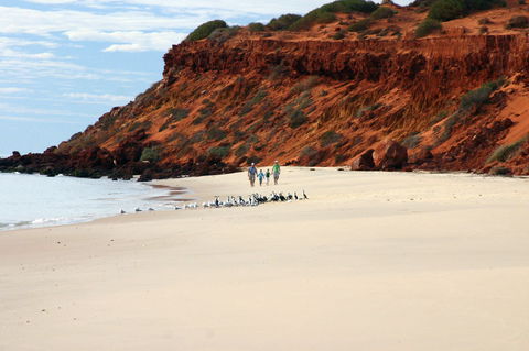 South Gregories Camp At Francois Peron National Park - Surfers Gold Coast 0
