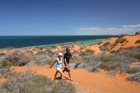 South Gregories Camp At Francois Peron National Park - Surfers Gold Coast 2