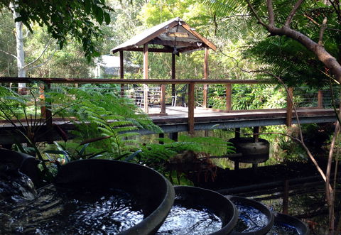 The Oasis And Wellness Centre  At One Mile Beach - Surfers Gold Coast 0