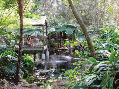 The Oasis And Wellness Centre  At One Mile Beach - Surfers Gold Coast 2