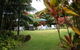 The Broken Banyan - thumb 1