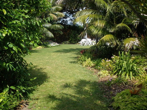 The Broken Banyan - Surfers Gold Coast 2