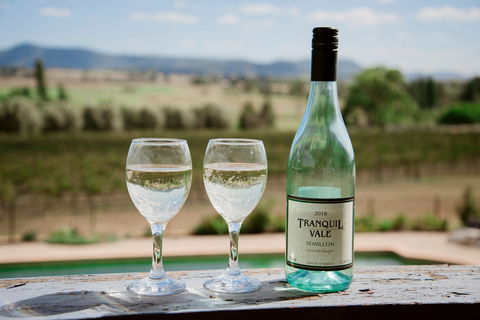 Tranquil Vale Vineyard - Surfers Gold Coast 0