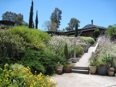 Valley View Cottage Hunter Valley - Surfers Gold Coast 0